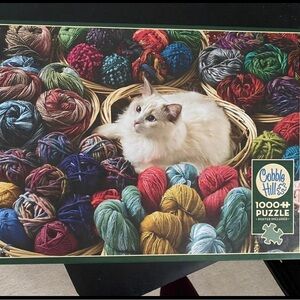 Two 1000 piece puzzles